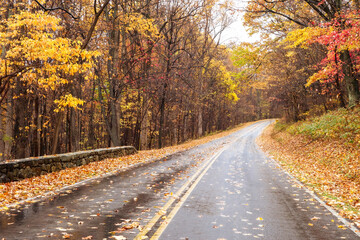Fototapeta premium Shenandoah National Park - Virginia, United States