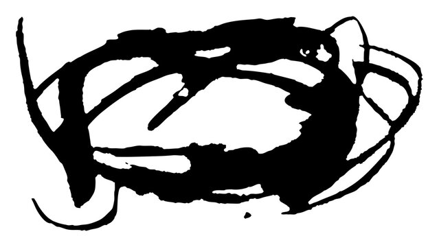 vector brush blot texture