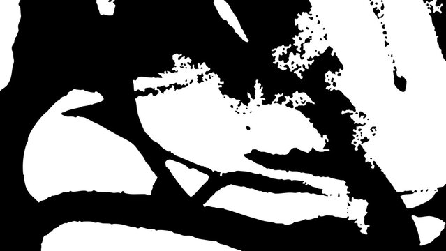 vector brush blot texture
