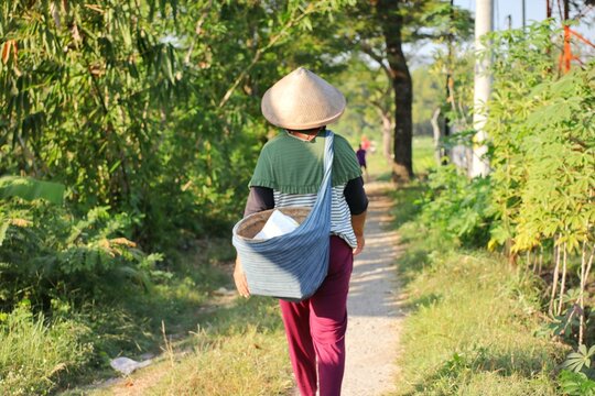 A woman wearing a caping or cone-shaped hat made of woven bamboo while carrying a basket made of cloth on her back, heading to the fields.