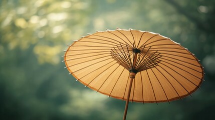 Focusing on the elegance of a wooden stick supporting a finely crafted paper umbrella this moment showcases artistry amid tranquil nature