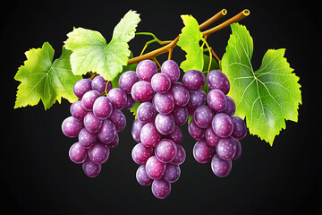 Fototapeta premium A cluster of ripe purple grapes with green leaves on a dark background.