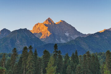 Sunlight on mountain peak panorama and green forest valley.