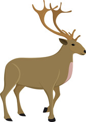 reindeer animal character cartoon illustration design for christmas santa claus