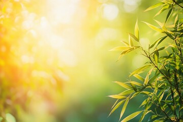 Obraz premium A vibrant bamboo grove with tall straight stalks, sunlight peeking through the foliage, soft green gradient in the background, evoking serenity and elegance 3