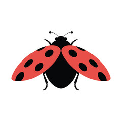 High Quality Ladybug Graphic with Detailed Spots