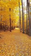Fototapeta premium Autumn Forest Path, a serene trail adorned with golden leaves, inviting warmth and tranquility amidst vibrant fall colors, perfect for enhancing your device's aesthetic.
