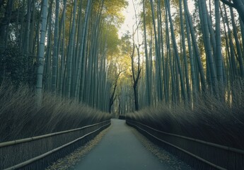 Obraz premium Serene Bamboo Forest Pathway Surrounded by Lush Greenery and Soft Golden Light, Inviting Tranquility and Reflection in Nature's Embrace
