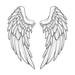 Vector outline wings on white background