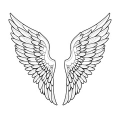 Vector outline wings on white background