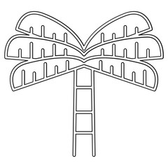 Palm tree, Coconut trees icon in line style