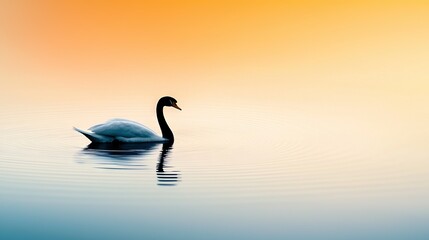 Fototapeta premium A swan gliding atop tranquil water beneath a vibrant yellow sky and an enchanting fusion of blue and orange skies