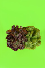 A fresh salad  placed on a green background, emphasizing health and natural freshness