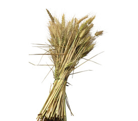 Bunch of wheat isolated on transparent background