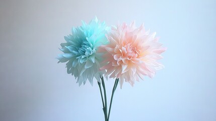   Blue and Pink Flowers in Vase on White Background - Close-up