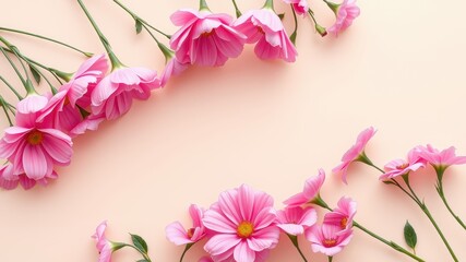 Delicate Pink Flowers Arranged in a Border on a Soft Peach Background