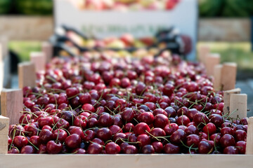 Fresh and Delicious Cherries Displayed at a Local Market Stand for Everyone to Enjoy