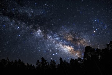 Obraz premium A stunning view of the Milky Way galaxy against a dark night sky.