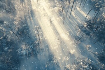 Fototapeta premium Sunbeams Through Snowy Forest Canopy - Aerial view of a sunlit snowy forest, showcasing winter wonderland, nature's beauty, serene landscape, and peaceful atmosphere.