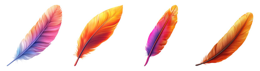 Fototapeta premium Colorful Feathers Isolated on Transparent Background