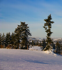 photo of rabbit tracks in the winter snow on blanket of white snow with a wintery blue sky