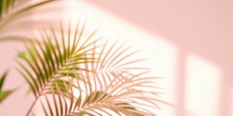 Softly Focused Palm Leaf Shadow Cast on a Pastel Pink Wall