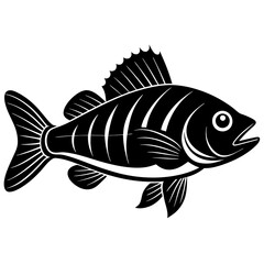 black and white fish