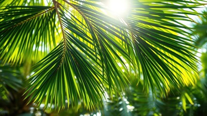 Sunlight filters through the vibrant green fronds of a palm tree, creating a mesmerizing pattern of light and shadow.
