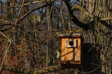 Birdhouse on a tree in forest 