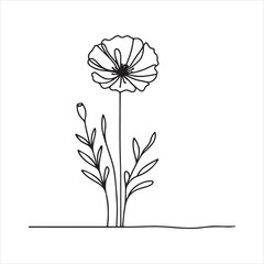 Poppies with branch line art, Outline silhouette on white background
