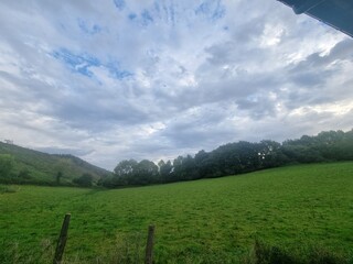 grass and sky with clouds