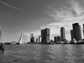 Sunset in urban nature