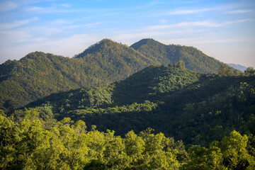 Three layer of mountains of tree landscape