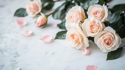 Fototapeta premium Delicate Pink Rose Floral Pattern, soft pink roses intertwined in an elegant design, ideal for enhancing romantic themes in decor and design projects