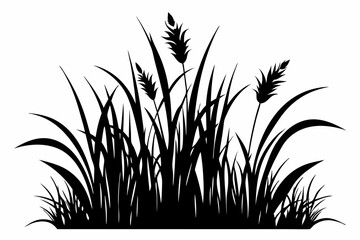 Grass vector silhouette black design white background