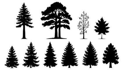 Fototapeta premium winter cristmas tree silhouette on white