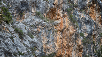 Beautiful rock formations, stone texture
