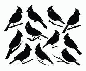 Obraz premium Cardinal Bird Designs Silhouette Collection Vector Template
