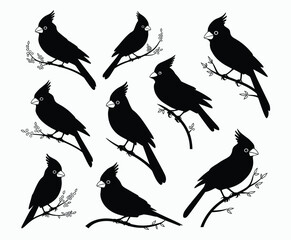 Fototapeta premium Elegant Bird Silhouette Collection Vector Template