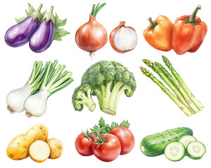 Watercolor Vegetables Illustration: Fresh and Colorful Assorted Veggies Collection set