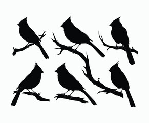 Fototapeta premium Elegant Cardinal Silhouettes in Minimalist Vector Style