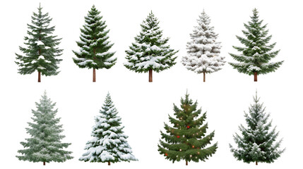Fototapeta premium Set of christmas trees on transparent background