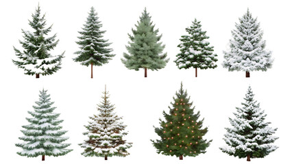 Obraz premium Set of christmas trees on transparent background