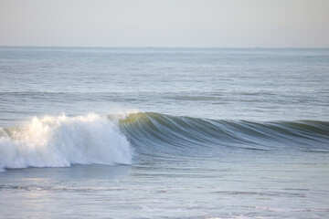 A peaceful ocean wave caught mid-break, showcasing the serene motion of water. Perfect for coastal vibes, relaxation themes, or marine and beach-related designs
