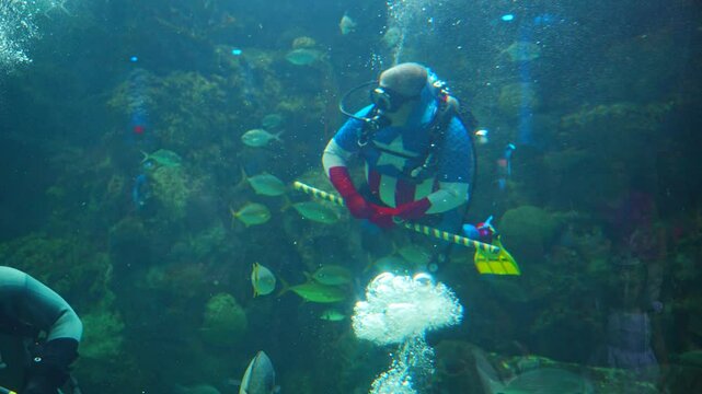 Tampa, Florida, USA: 10 20 2024: Florida Aquarium scuba diving for Halloween Decoration in Fishing tank