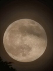 full moon in night sky