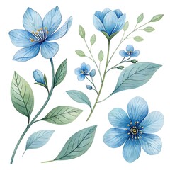 Watercolor blue Flower and leaf