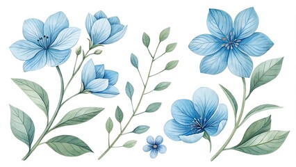 Obraz premium Watercolor blue Flower and leaf