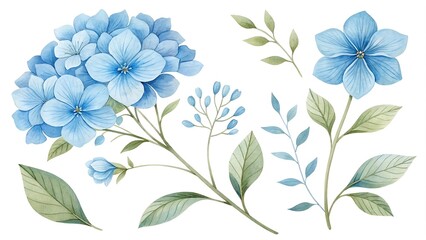 Fototapeta premium Watercolor blue Flower and leaf