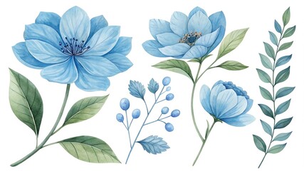 Fototapeta premium Watercolor blue Flower and leaf